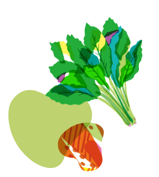 ほうれん草