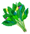 ほうれん草